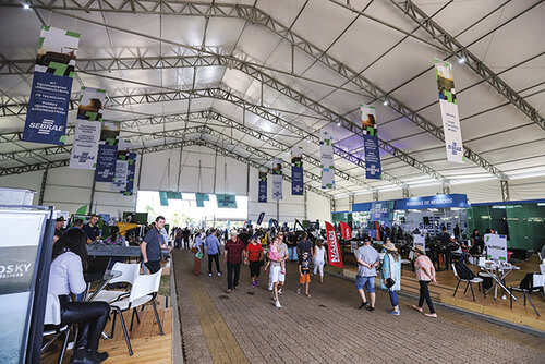 Espaço coletivo do Sebrae oferece a oportunidade para pequenas empresas apresentarem-se em nível de igualdade com grandes players do mercado