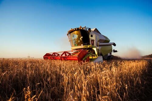 Revisão do Pacto Federativo prevê mais recursos para municípios fortalecerem o agro
